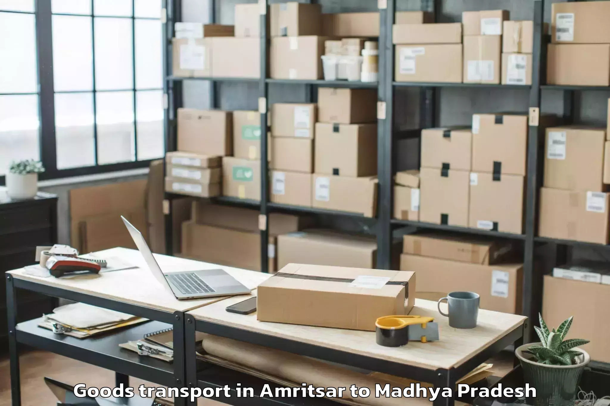 Book Amritsar to Badnawar Goods Transport